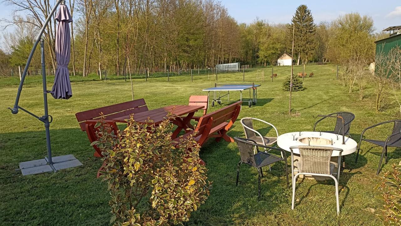 Appartement Sueni Ordacsehi