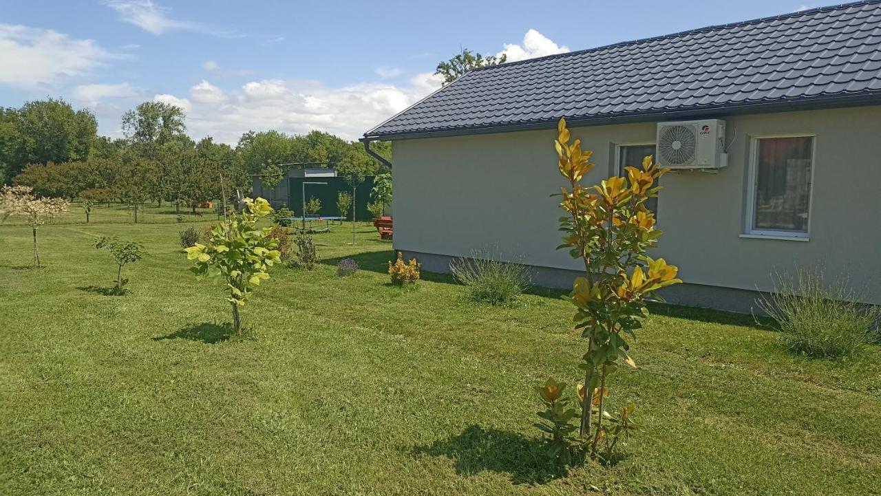 Sueni * Ordacsehi